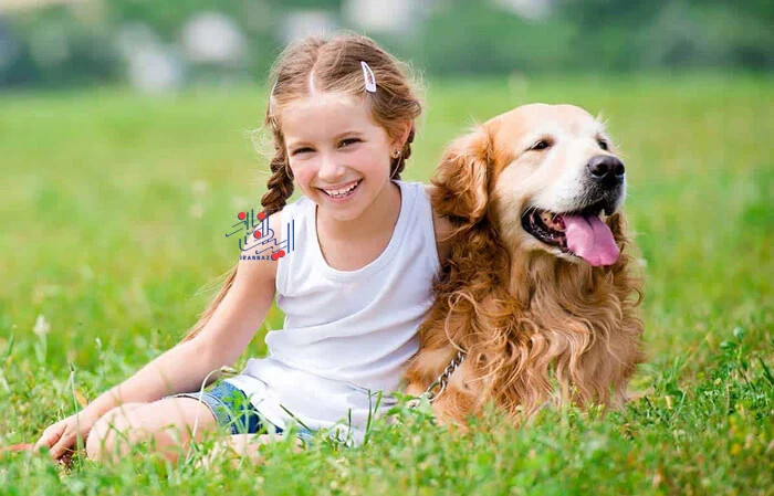 شهرهایی که تعداد سگ های آنها بیشتر از کودکان است