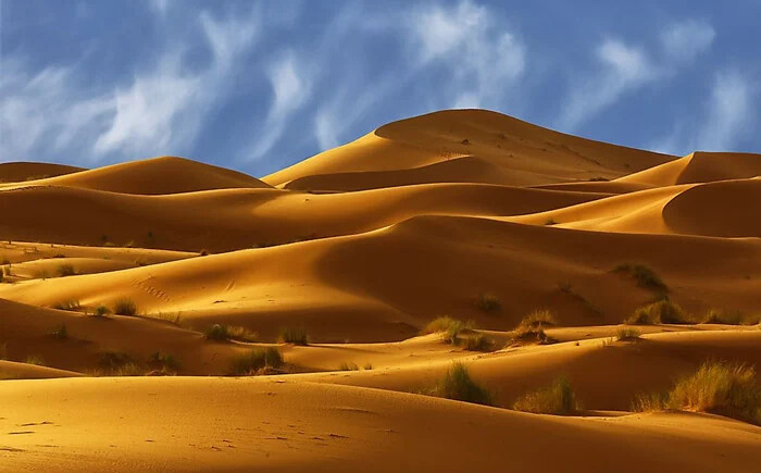 صحرای بزرگ آفریقا