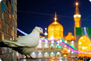 فاصله هتل مدینه الرضا با خانه های تاریخی مشهد