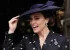 جلب توجه ظاهر شاهدخت ولز (Princess of Wales)