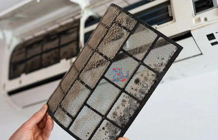 خطرات پنهان آلودگی هوا ، بهترین گل و گیاهان آپارتمانی برای دفع آلودگی هوا