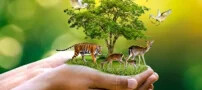 کدام حیوانات به حیات روی زمین کمک می کنند؟