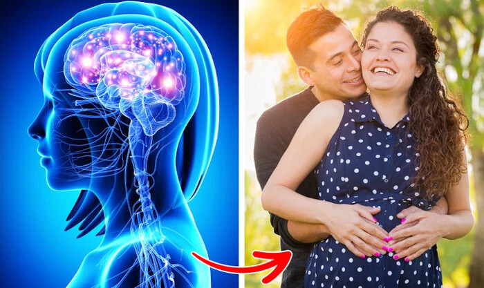ازدواج و زندگی مشترک خوبی دارید ، نشانه های پنهان هوش هیجانی که شاید تا به حال نمی دانستید