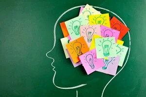 افراد با IQ بالا وقت خود را صرف این چیزها نمی کنند