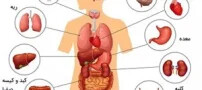 برای زنده ماندن به این اعضاء بدن نیاز ندارید!