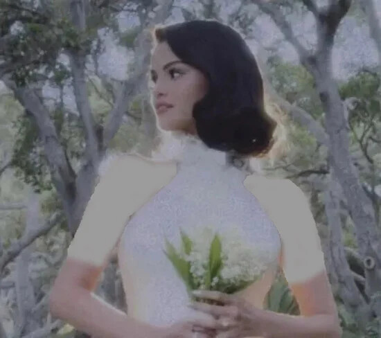Selena Gomez and Benny Blanco wedding