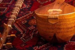 راهنمای خرید سه تار در چند مرحله
