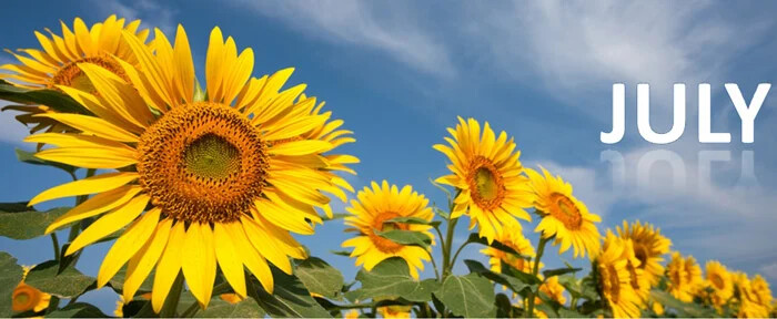 جولای (از 11 تیر تا 10 مرداد)