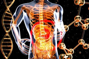 حقایق فوق العاده جالب در مورد بدن انسان