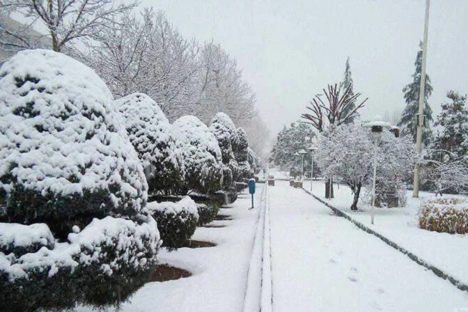 جاهای دیدنی تهران در زمستان؛ از کافههای دنج تا طبیعت برفی