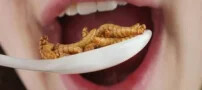 خوراکی های چندش آور سلبریتی ها و افراد مشهور