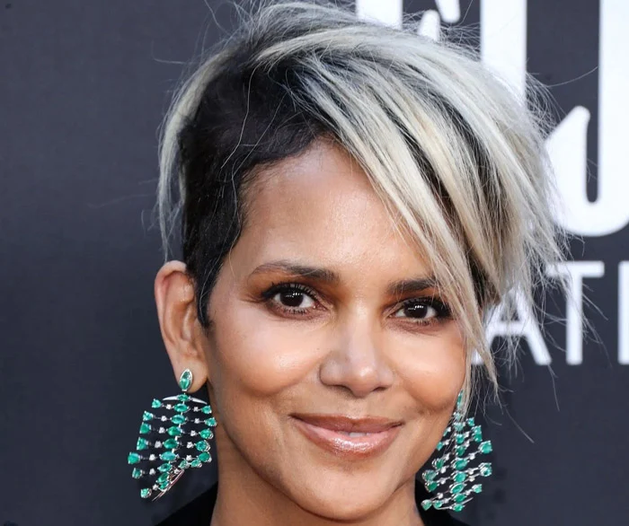 هلی بری (Halle Berry) ، نقش هایی که بازیگران از بازی کردن آن پشیمان شدند!