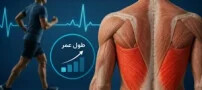 این دو عضله پیش بینی می کنند که چقدر عمر می کنید!