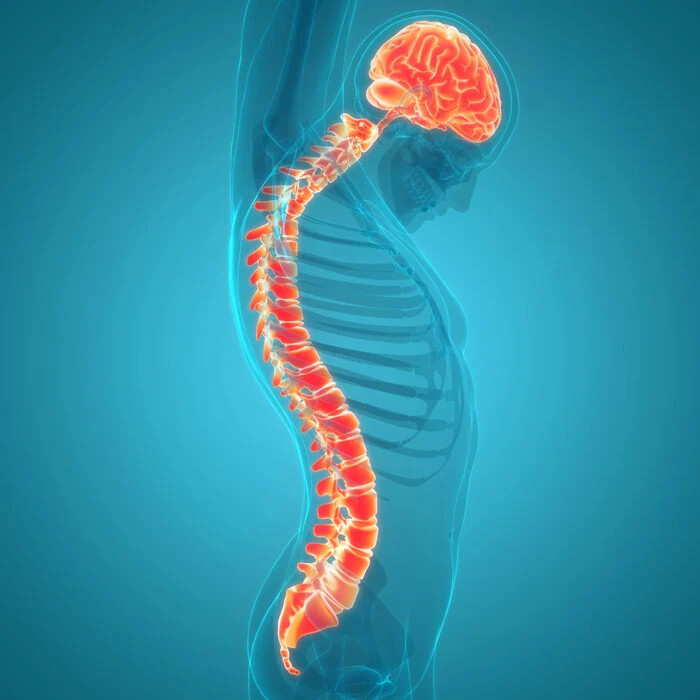 علائم هشدار تومور مغزی و دیسک چه زمانی به جراح مراجعه کنیم؟