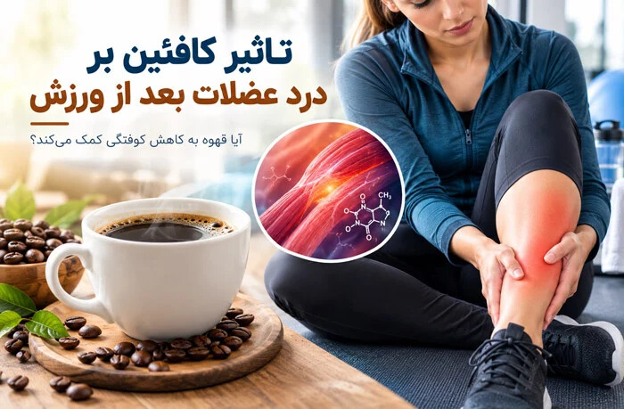 آیا قهوه و کافئین به کاهش درد عضلات بعد از ورزش کمک می کند؟