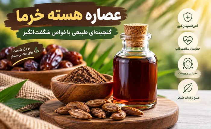 عصاره هسته خرما چیست و چه خواصی برای بدن انسان دارد؟