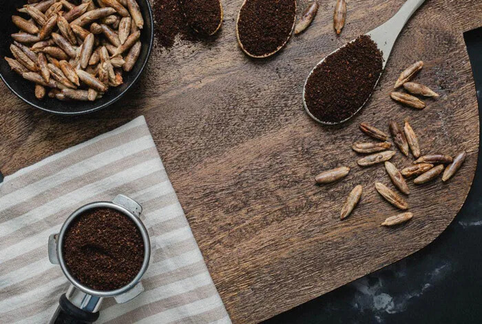 استفاده دوباره از هسته خرما و کاهش دورریز مواد غذایی