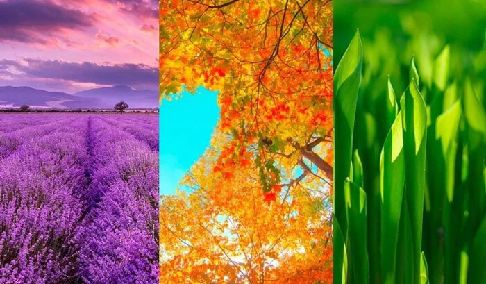 نتیجه تست؛ شما جذب چه مردی می شوید؟