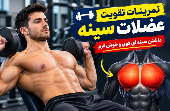 تمرینات تقویت عضلات سینه؛ داشتن سینه ای قوی و خوش فرم