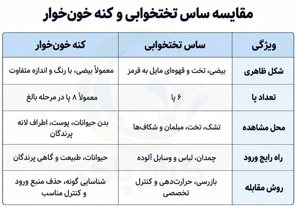 ساس یا کنه در خانه؟ ۷نشانه مهم که قبل از سمپاشی باید بشناسید