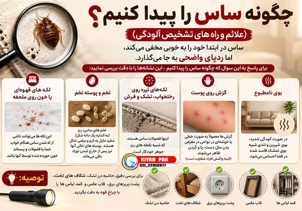 ساس یا کنه در خانه؟ ۷نشانه مهم که قبل از سمپاشی باید بشناسید