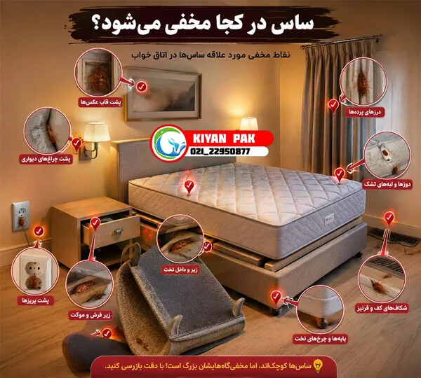 ساس یا کنه در خانه؟ ۷نشانه مهم که قبل از سمپاشی باید بشناسید