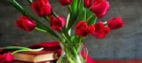 شعر بسیار زیبای همیشه