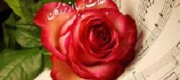 جملات بسیار زیبا از بزرگان