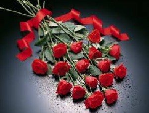 شعر جالب ندای آغاز