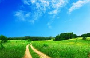 خندیدن و شادی مسری چیست؟