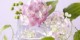 شعر جالب ای شور، ای قدیم