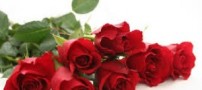 شعر جالب بی روزها عروسك