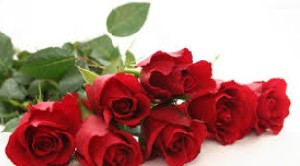شعر جالب بی روزها عروسك