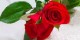 شعر زیبای درها به طنین های تو وا كردم