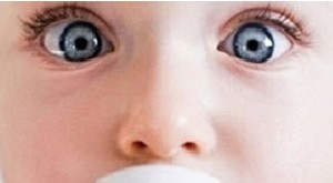 باکتری های موجود در شیر مادر چند دسته است؟