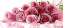 شعر زیبای مرغان ، زمزمه شان می آید