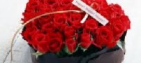 شعر بسیار زیبای و چه تنها
