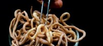 پیشگیری و کنترل انگل آسکاریس