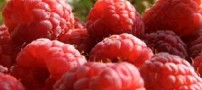 هسته‌ تمشک برای چه خوب است؟