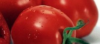 نکته خواندنی راجع به گوجه فرنگی!!