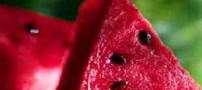 هندوانه و نوع تغذیه برای افراد