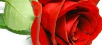 اشعار ادبی بسیار زیبا و دوست داشتنی