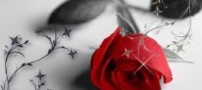 آیین های جشن شب یلدا
