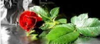 یکی دیوانه ای آتش برافروخت