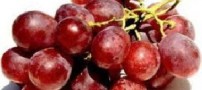 چگونه انگور بخوریم که چاق نشویم؟