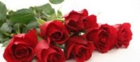 در تمام روزهای عاشقی که گذشت