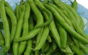خواص دارویی انواع لوبیا