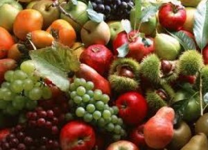 پروتئین برای چاق ها چگونه است؟