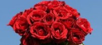 شعر ی از استاد شهریار بزرگ