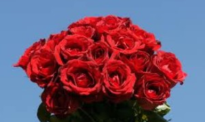 شعر ی از استاد شهریار بزرگ